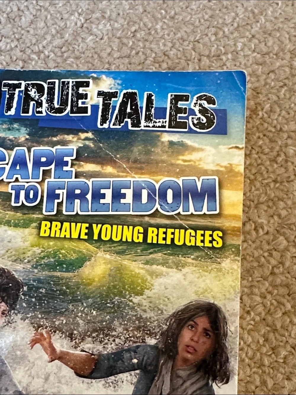 Set of 3 History Books School Homeschool Teacher WW2 10 True Tales READ DESCRIP